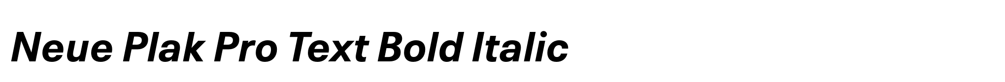 Neue Plak Pro Text Bold Italic image